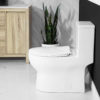 Eglinton One Piece Toilet Lined Tank Concealed Bowl