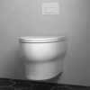 Eglinton Wall Hung Toilet Adjustable Bowl Height